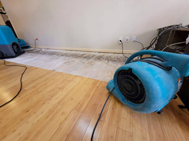 Professional Water Extraction technician working in Hinsdale, IL